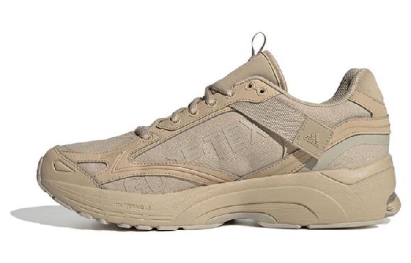 adidas Spiritain 2000 GTX Brown
