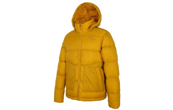 THE NORTH FACE FW21 logo