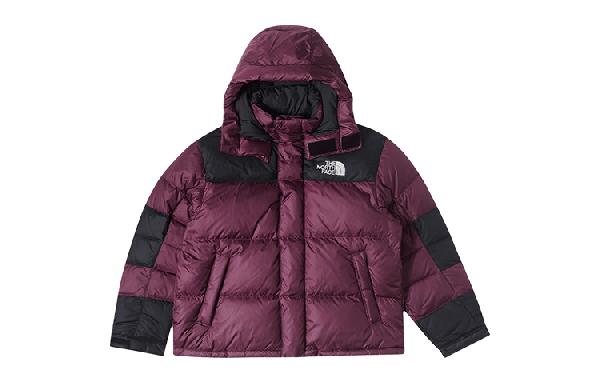 The North Face Urban Exploration 600 Fill Down Jacket