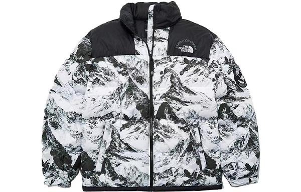 The North Face FW22 Down Jacket Black