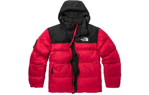 THE NORTH FACE 1992 30 Logo